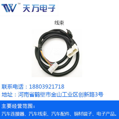 專業(yè)汽車接插件