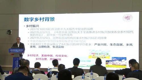 百余名計算機科技工作者齊聚崇明 共話軟件研發新未來