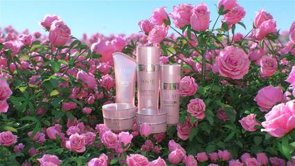 玫瑰之韻 三維場景中的創(chuàng)新化妝品與衛(wèi)生用品設(shè)計(jì)